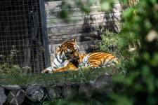 Mathis JOUSSET - MJ Community